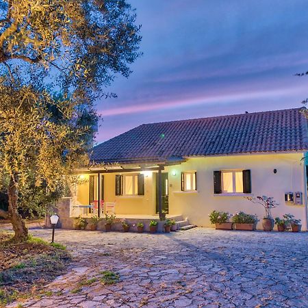 Olivegrove Villa - Nestled In Olive Trees With Private Pool, By Zantewize Tragaki Exterior photo